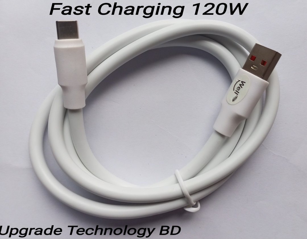 Well Tech USB to Type C Charging Cable 2A 120W