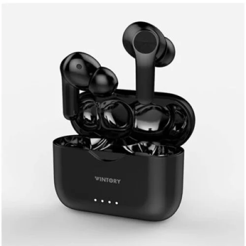 Wintory Pod 2 Wireless Earbuds